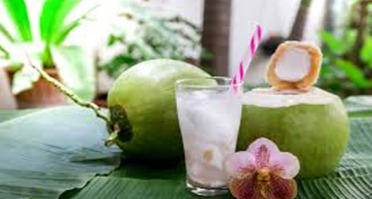 Manfaat air kelapa muda