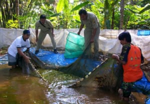 Manfaat Biologi di Bidang Perikanan